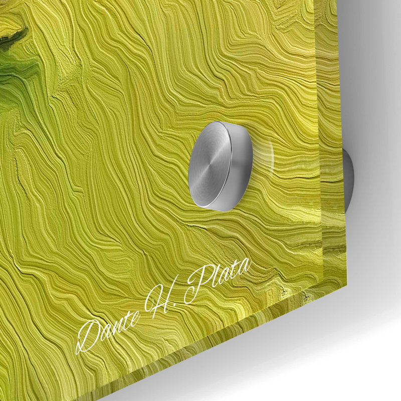  Art mural en verre «Resting» par Dante Plata, 24 po x 36 po, H 36 po x l 24 po