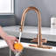 Robinet de cuisine en acier inoxydable avec douchette rétractable - robinet d'évier à 2 poignées pour la cuisine et le bar, robinet durable avec fonction de jet-113856463