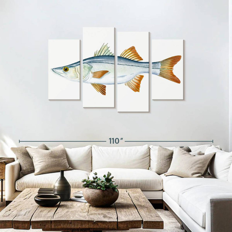 Brampt Snook, H 48 po x l 75 po