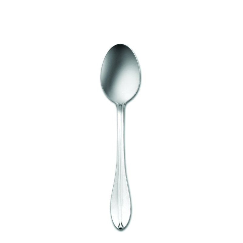 Cuillère à soupe en acier oneida hospital 18/10 stainles Rhodes