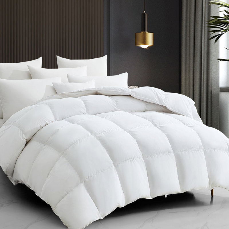 All Season Soft and Warm Feather Down Comforter Duvet Insert, Queen
