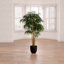 Arbre de bambou artificiel vert 6 pi