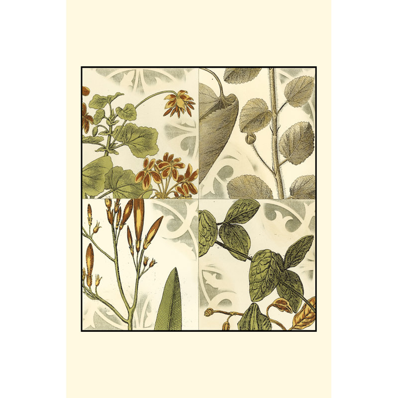 Small Botanical Quadrant I by Vision Studio - Wrapped Canvas Print, 46cm H x 30cm W x 3.8cm D