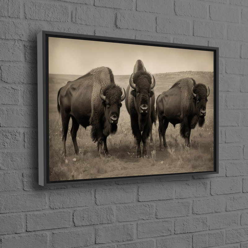 Print on Canvas, 50 cm H x 70 cm W, Framed Print without Mat, Black