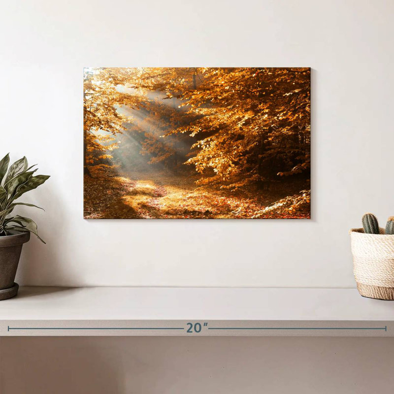 Harnek Autumn Forest Sunshine