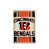Bengals de Cincinnati