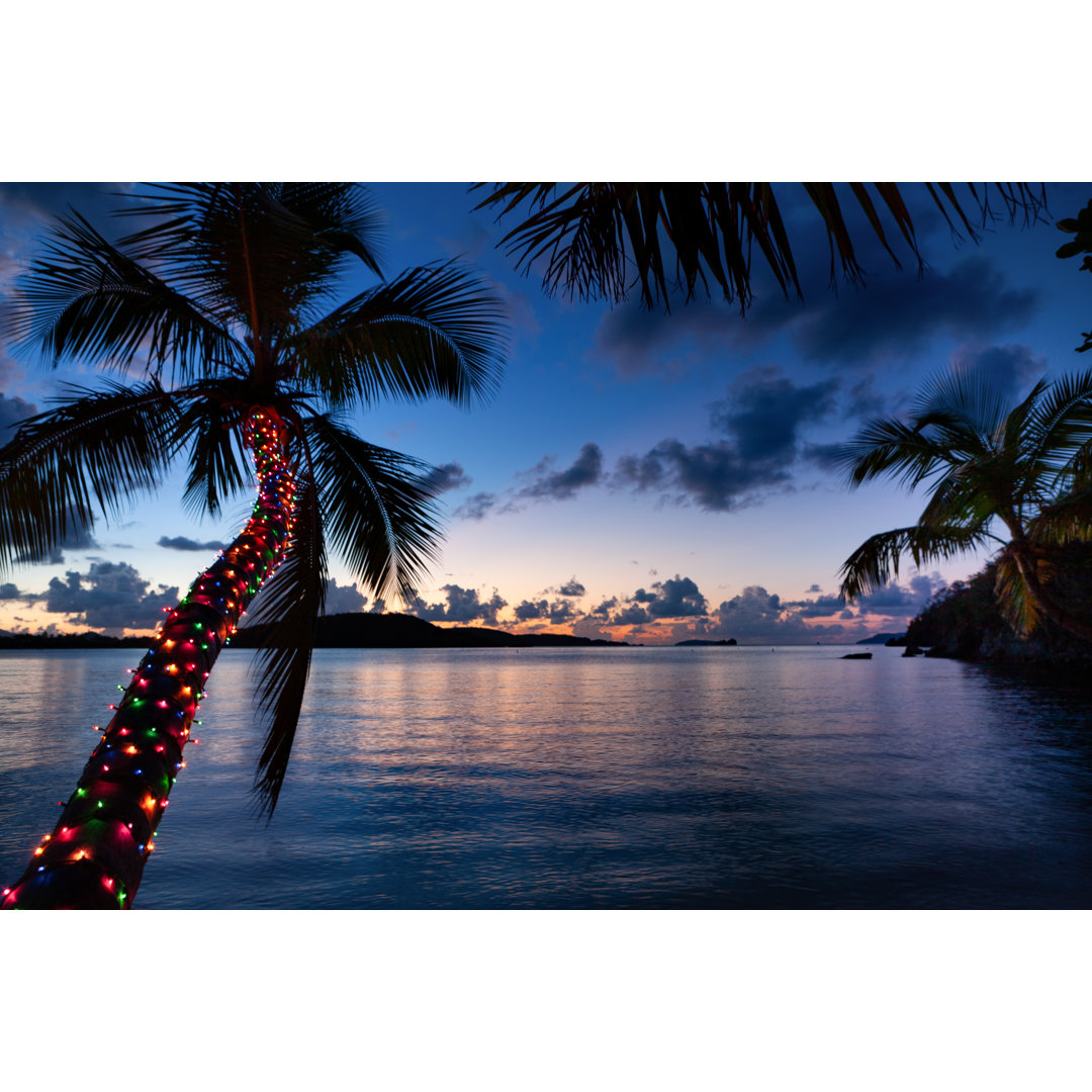 Palme mit Weihnachtsbeleuchtung an einem tropischen Strand