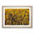 Oak Framed selected