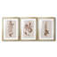 Monochromes botaniques I - Impression encadrée personnalisée de qualité supérieure - 3 pièces-1390574740-1390574745