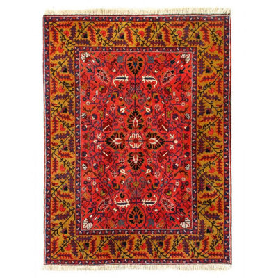 Oriental Rug