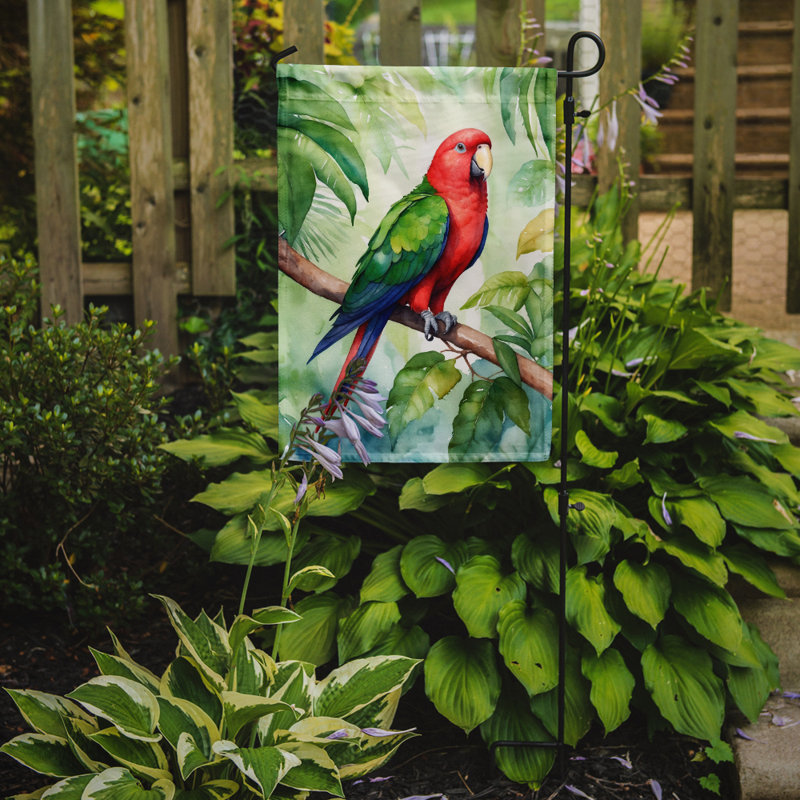 Drapeau de jardin, Grand éclectus