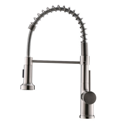Topcraft Single-Handle Single-Hole Kitchen Faucet