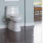 Carlyle® II 1.28 GPF Elongated One-Piece Toilet (Seat Included)-6788493-12115620