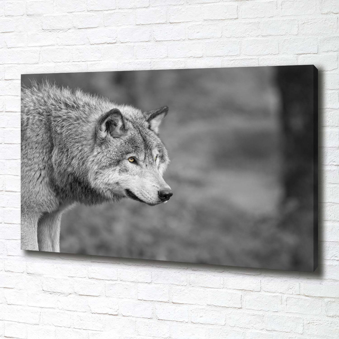 Grauer Wolf - Kunstdrucke auf Leinwand - Wrapped Canvas