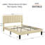 Shasta Upholstered Beds, Modern Platform Bed Frame with Adjustable Headboard, Wooden Slats Support, No Box Spring Needed-102529392-125185140