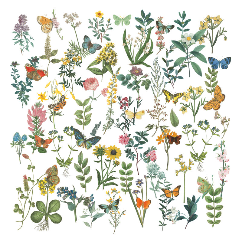 Flowers And Butterflies - Wrapped Canvas Painting, 76cm H x 76cm W