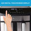 Ivy Bronx 9 L Dual Air Fryer