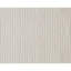 Area Rug in Ivory