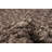 Wool Oriental Indoor Rug
