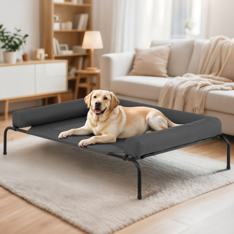 Lit pour chien surélevé avec coussins Cooler, Très petit (l 35,5 po x P 25,5 po x H 7,5 po), Gris foncé