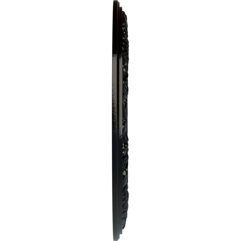 Swindon Ceiling Medallion, Black Pearl