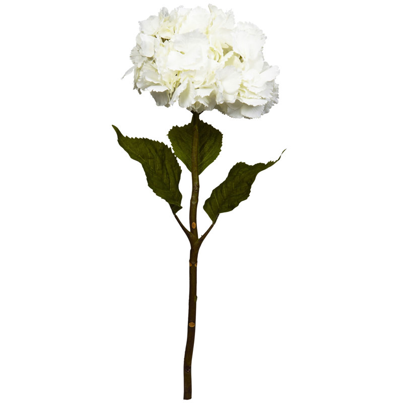 Hydrangea Arrangement, White