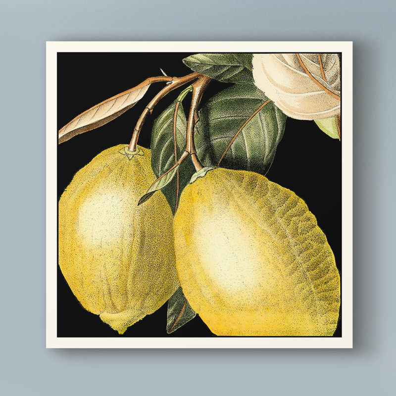 « spectaculaire citron », reproduction d’impression sur toile tendue, H 14 po x l 14 po x P 2 po