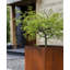 Handmade Metal Planter