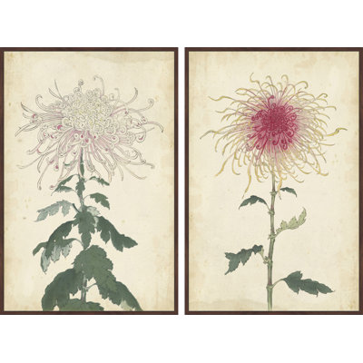 « spaghetti fleuris diptych », ensemble de tirages