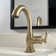 Lulani Aurora Single Hole Bathroom Faucet with Drain Assembly