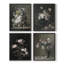 Impression encadrée vintage LXXX - ensemble de 4-736565348-736565351