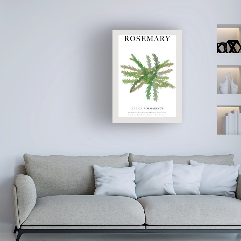 Bolog " Rosemary " on Canvas, 47" H x 35" W