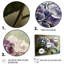 Ensemble de salon d'art mural Rolfe - Hydrangea-108462193-108462196