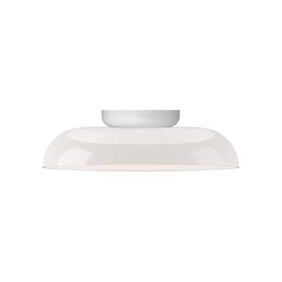 Totem Flush Opal Glass Shade