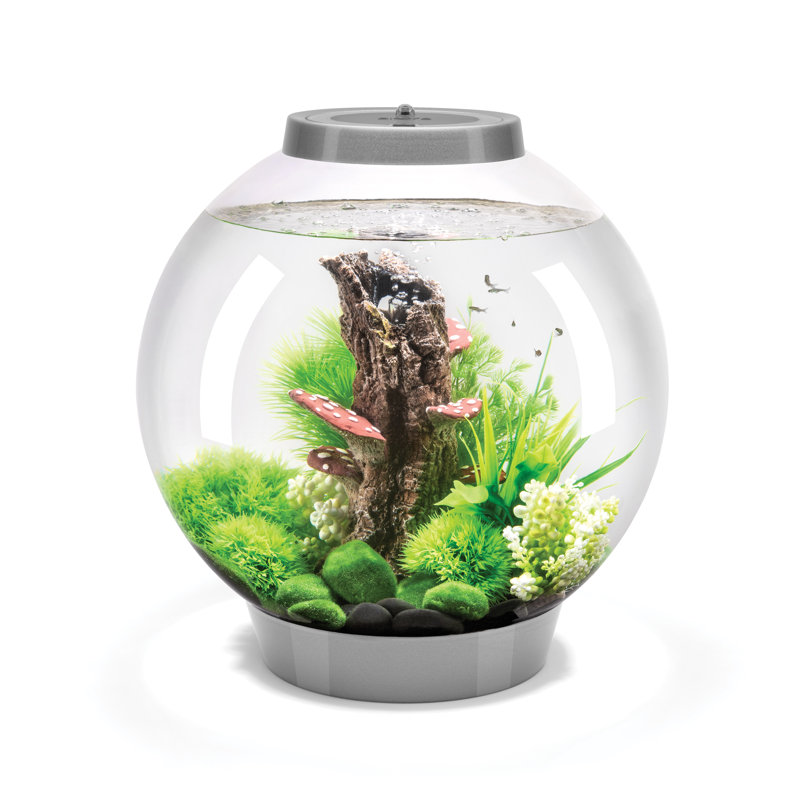 CLASSIC 30 8 Gallon Round Aquarium Tank with MCR Light, Silver