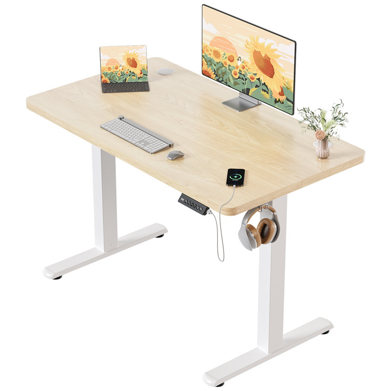 Electric Standing Desk Height Adjustable Desk Sit Stand Desk With Time Reminder Stand up Desk 2 Memory Setting Electric Desk 