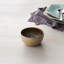 Champlain Mini Dessert Bowl