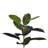 Solerno Faux Rubber Tree in Pot Liner-96810042