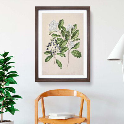Kaikomako Flowers by Sarah Featon - Framed Print