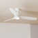 Ballog 52'' Ceiling Fan with LED Lights