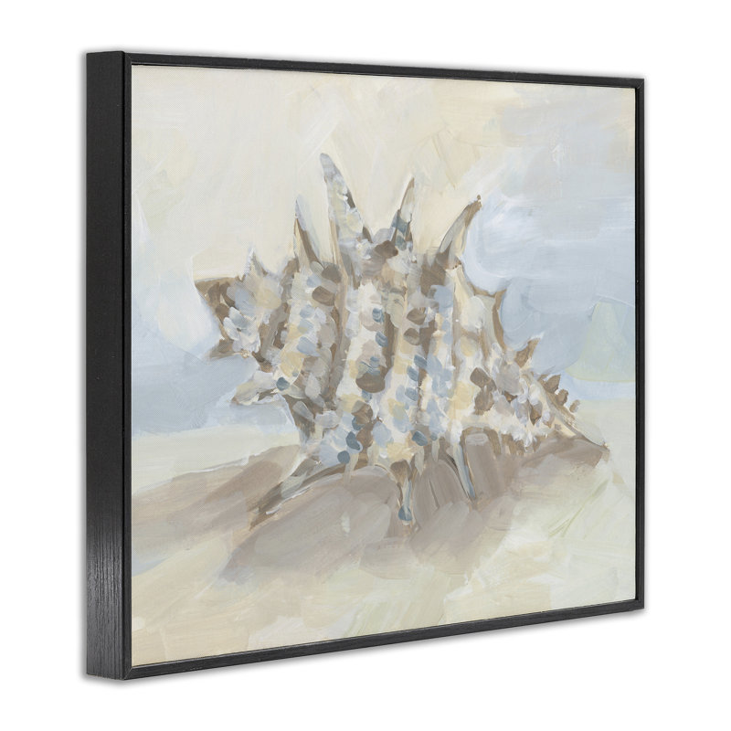 «Soft Soft Blend Spiky Seashell», conception de giclée encadrée par Jetty Home, LLC, H 11 po x l 14 po