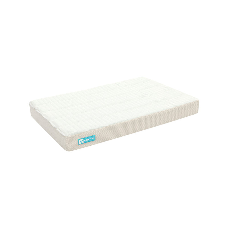 Lit pour chien orthopédique en mousse à mémoire de forme Premium, H 3 po x l 29 po x P 19 po, Beige