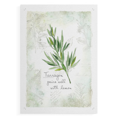 Fresh Tarragon -Canvas Print Only - NOT FRAMED