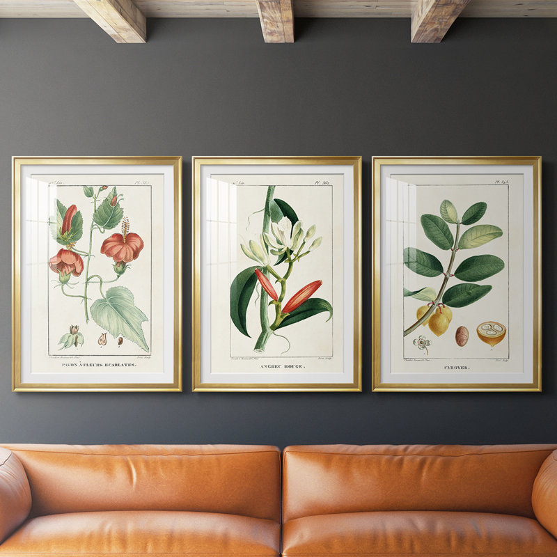 Turpin Tropical Botanicals IV - reproduction sur mesure encadrée de qualité supérieure - 3 pièces, H 19 po x l 27 po, Doré