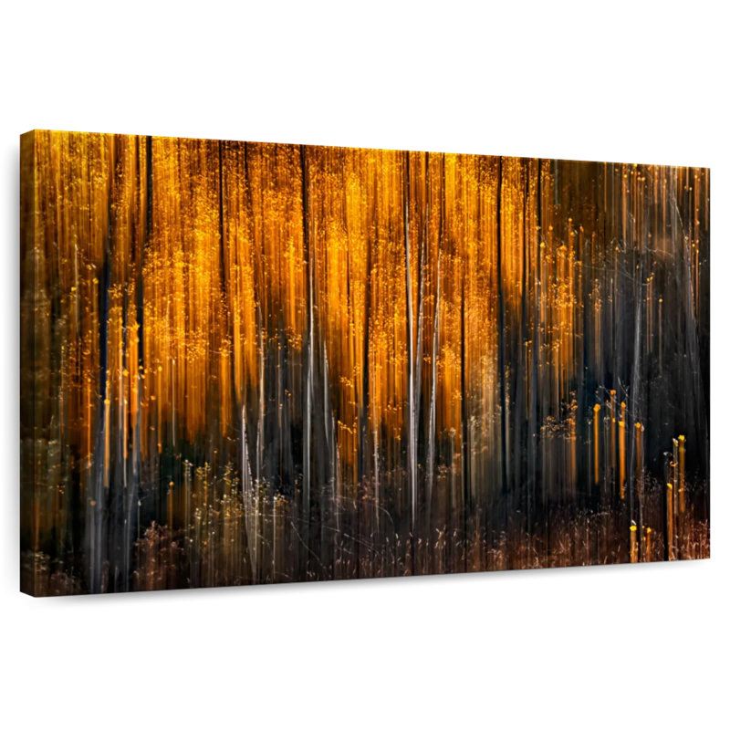 Avery Falling Stars, 16" H x 24" W