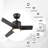 52-inch Smart Ceiling Fan with Remote, Light Kit Included