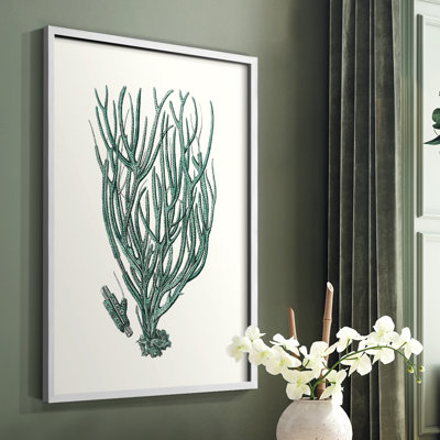 Antique Antique Coastal Coral, reproduction d'art encadrée