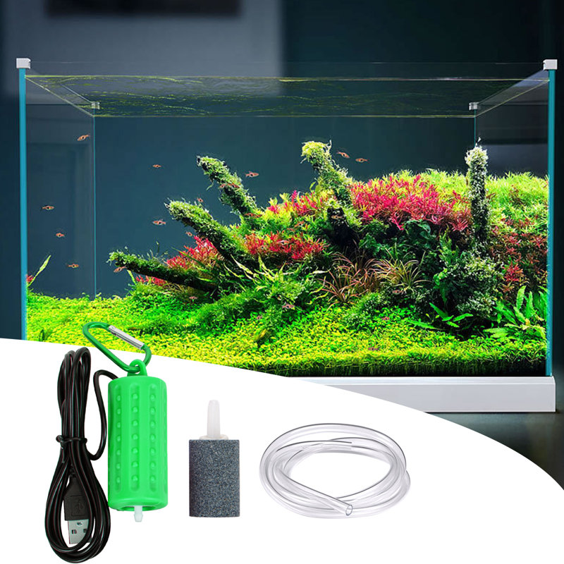 Pet, Green, 13.5 7.5