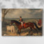 Animaux, paysage, série CXCII-1486505156