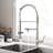 Fapully Pull Down Kitchen Faucet